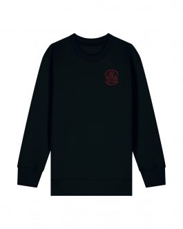 Sweater Kinder